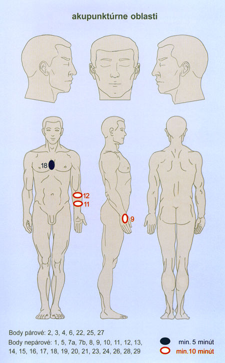akupunktrne oblasti